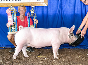 Winners