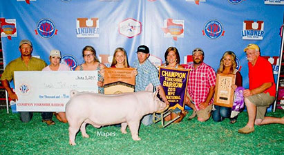 Winners